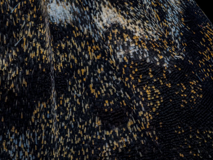 Añada elegancia a sus estacionamientos con asfalto de colores.