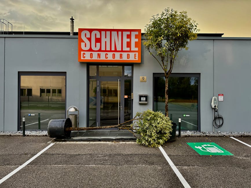 Enfoques Innovadores en Aplicaciones de Asfalto: Áreas Especiales y Precios