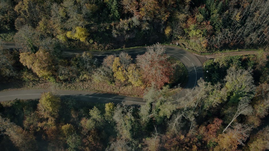 Profundizando en los Precios del Asfalto: ¿Quién Construirá las Carreteras?