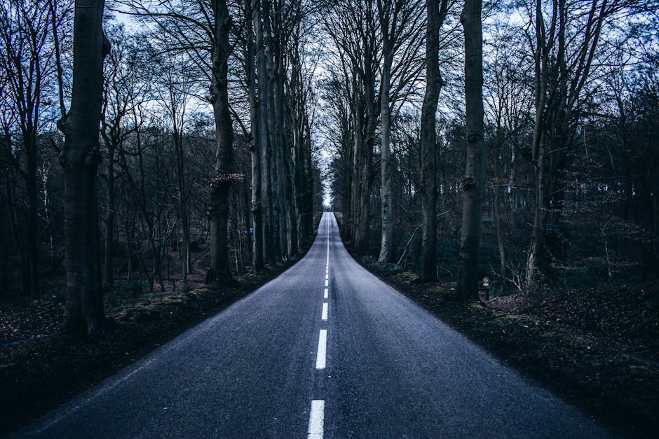 2026 Nuevos Métodos y Oportunidades en Aplicaciones de Asfalto