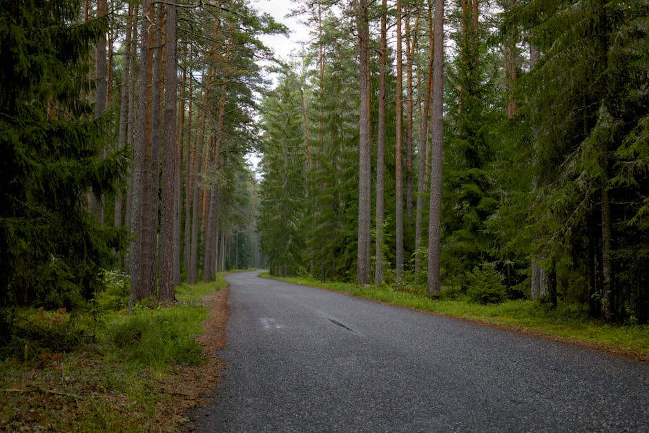 Caminos Urbanos: ¿Quiénes son los responsables y cómo son los costos?