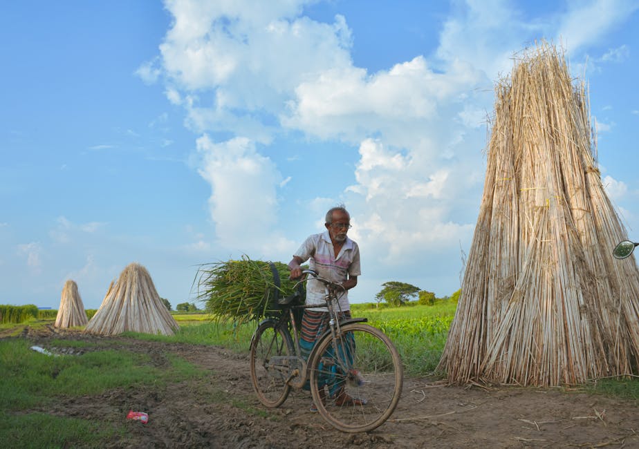 Köy Yolunu Kim Yapar? Köy Yolu Yapan Firmalar