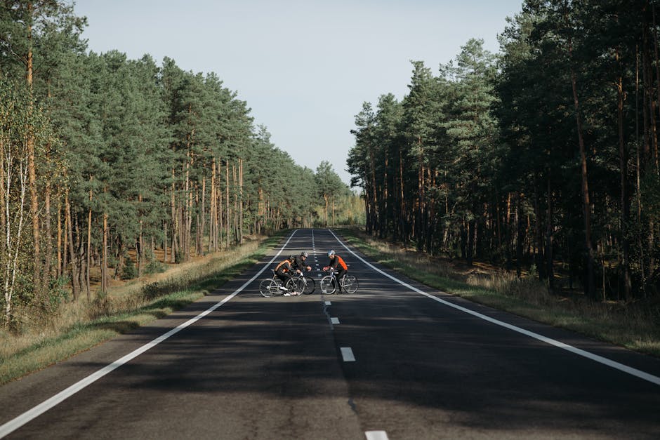 Ankara Asfalt Firmaları: Doğru Ekip, Doğru Karışım, Uzun Ömürlü Yol